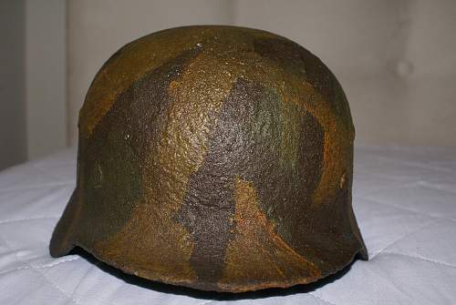 Opinions about SS helmet please.