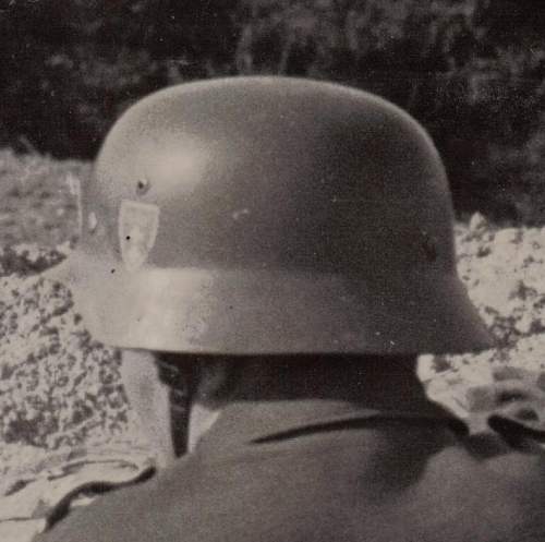 The elusive totenkopf helmet decal...any photos or surviving helmet?