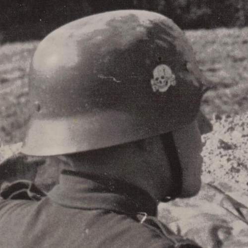 The elusive totenkopf helmet decal...any photos or surviving helmet?