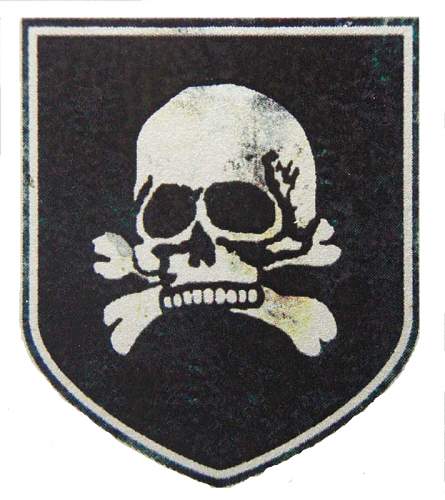 The elusive totenkopf helmet decal...any photos or surviving helmet?