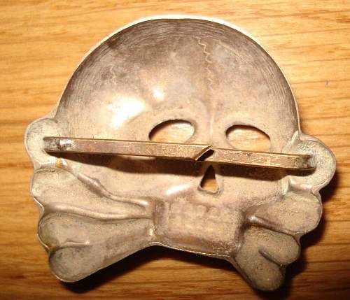 Danziger skull: ORIGINAL or FAKE?