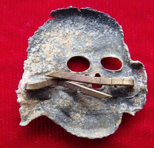 Overhoff relic skull