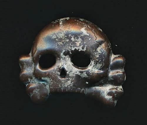 Another Early Skull