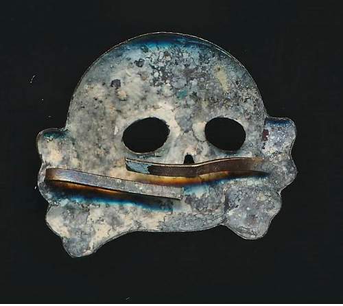 Another Early Skull