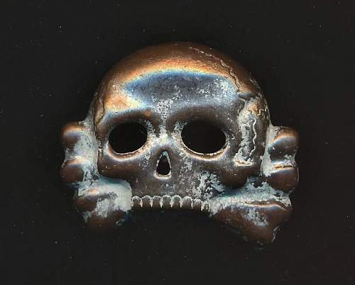 Another Early Skull