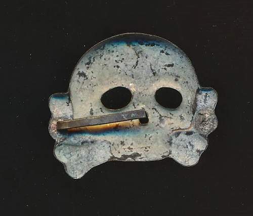 Another Early Skull