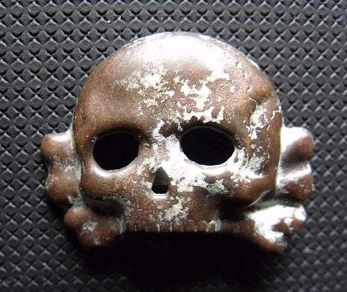 Another Early Skull