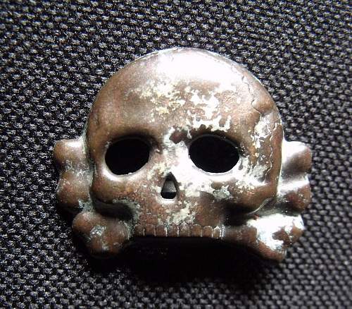 Another Early Skull