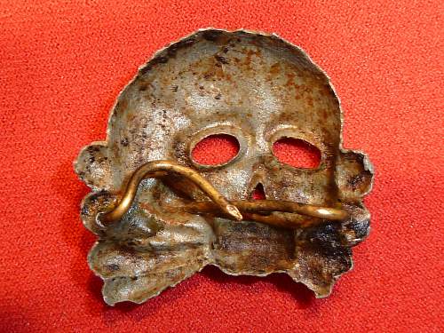Early SS (Danziger) Skull