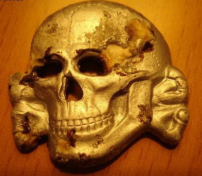 Zimmermann marked RZM 499/41 skull