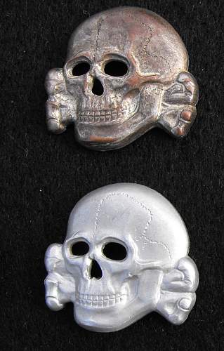 Zimmermann marked RZM 499/41 skull