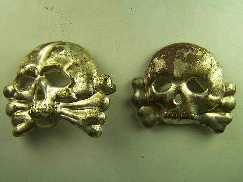 SS early skulls