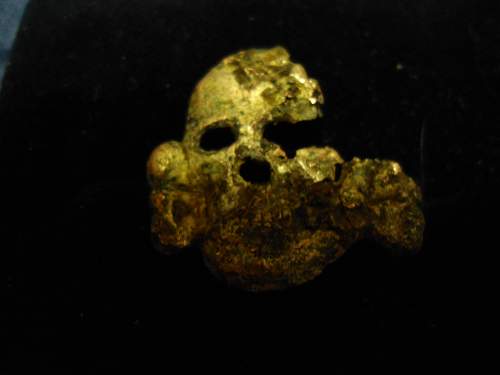 SS Gold Cap skull?