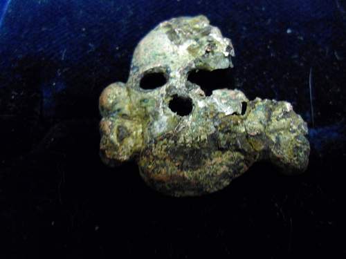 SS Gold Cap skull?