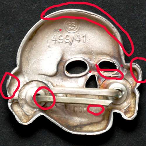 499/41 Zimmermann skull for review