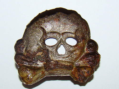 Danziger skull