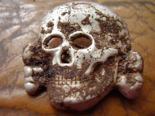 Fake SS skull dug