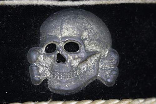 Zimmermann skull 499/49