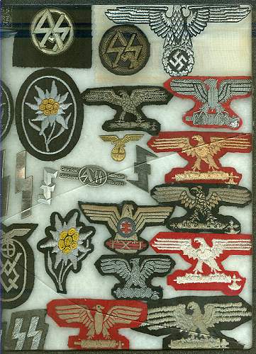 How do you show your SS insignia?