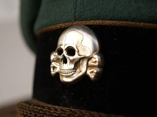 Fake Zimmermann Skull?