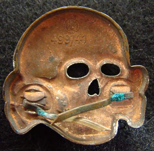 Beautiful Zimmerman Skull