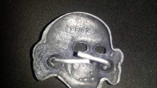 Zimmermann marked RZM 499/41 skull