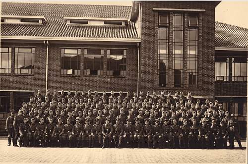 Cat fish and cap badge madness.