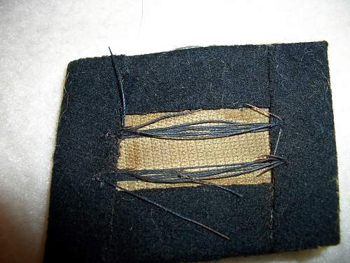 SS collar tab