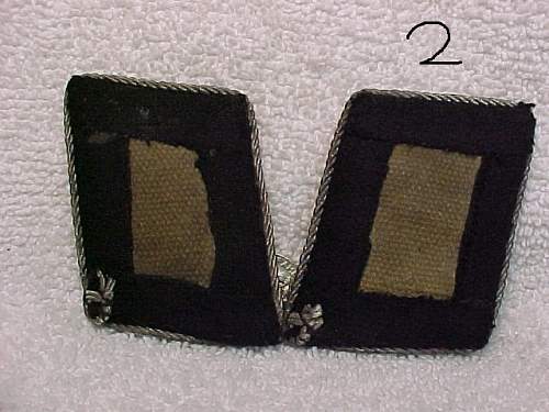 ss collar tabs