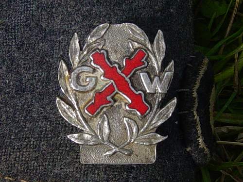 Gardes Wallonnes lapel badge