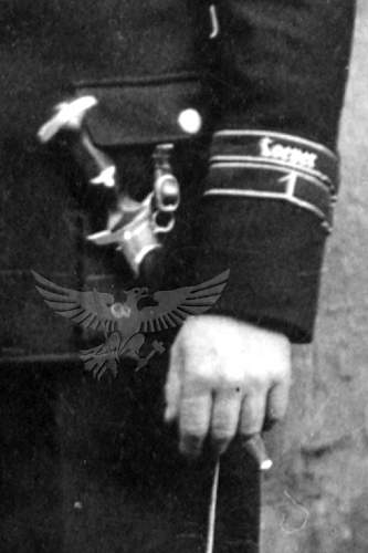 Allgemeine SS martyr cuff titles with Sturmbann colored stripes