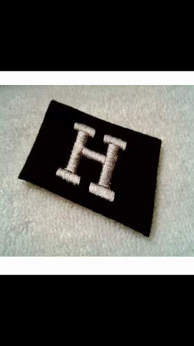 Volunteer Hungarian SS collar tab