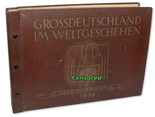 Die Uniformen der Braunhemden