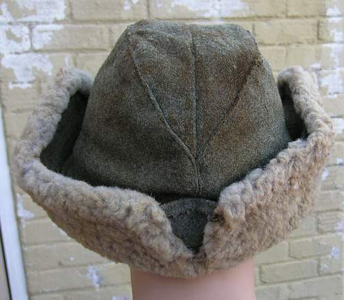Unusual winter hat ...
