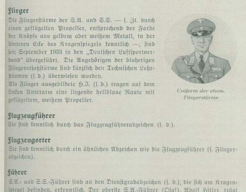 SS'fliegerstürme collar tab- for opinion.