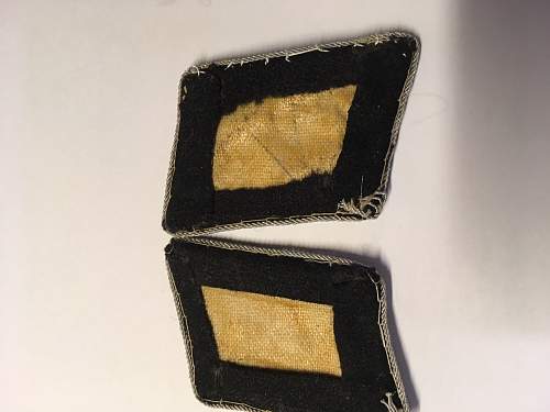 SS collar tabs