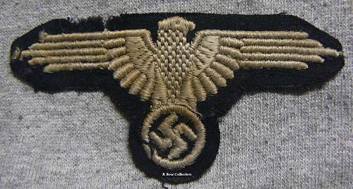 Ss sleeve eagle