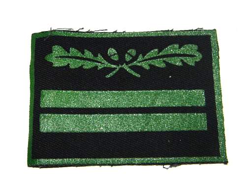 waffen ss cammo rank insigina