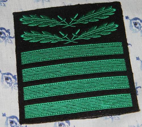 waffen ss cammo rank insigina