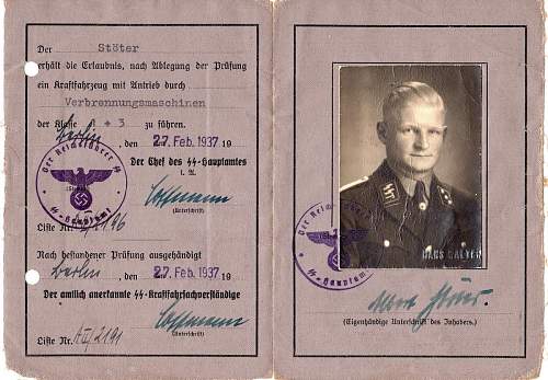 SS- RuSHA insignia in period pictures