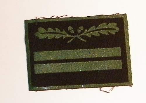 waffen ss cammo rank insigina