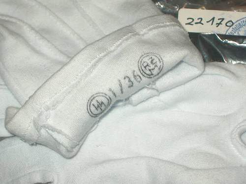 Allgemeine SS LAH parade gloves for viewing.
