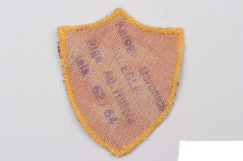 First pattern Latvian volunteer sleeve shield