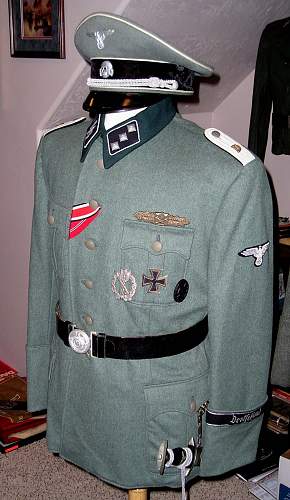 Opinions wanted about SS Uniform
