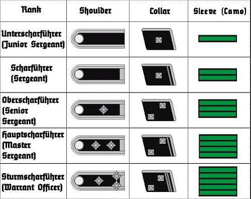SS Scharführer- camoflage