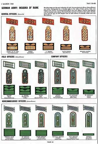 SS Scharführer- camoflage