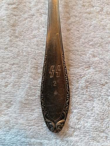 SS Dining Spoon ?