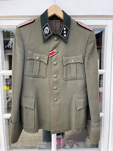 SS Latvian jacket ?