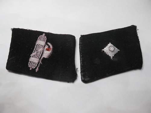 29th Waffen Grenadier Division of the SS - collar tabs for review
