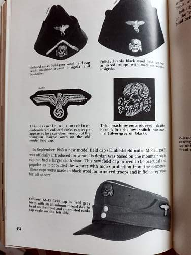 SS Soft Cap Bullion Insignia Question